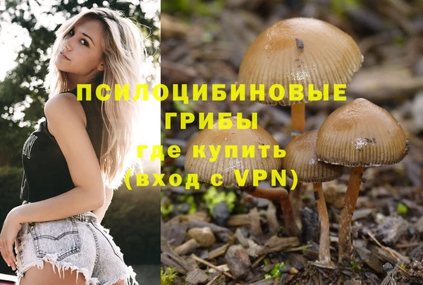 mix Новокубанск